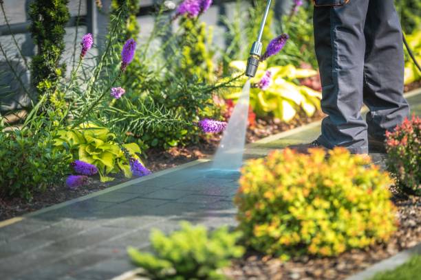 Best Winterizing Services  in Liberty Hill, TX